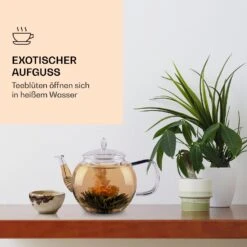 Feelino 6er Teeblume Mix Grün 9 Feelino 6er Teeblume Mix Grün -Klarstein Verkaufsgeschäft 10040407 de 0003 logo