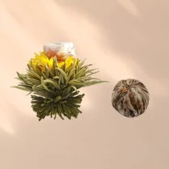 Feelino 6er Teeblume Mix Grün 13 Feelino 6er Teeblume Mix Grün -Klarstein Verkaufsgeschäft 10040407 yy 0007 logo