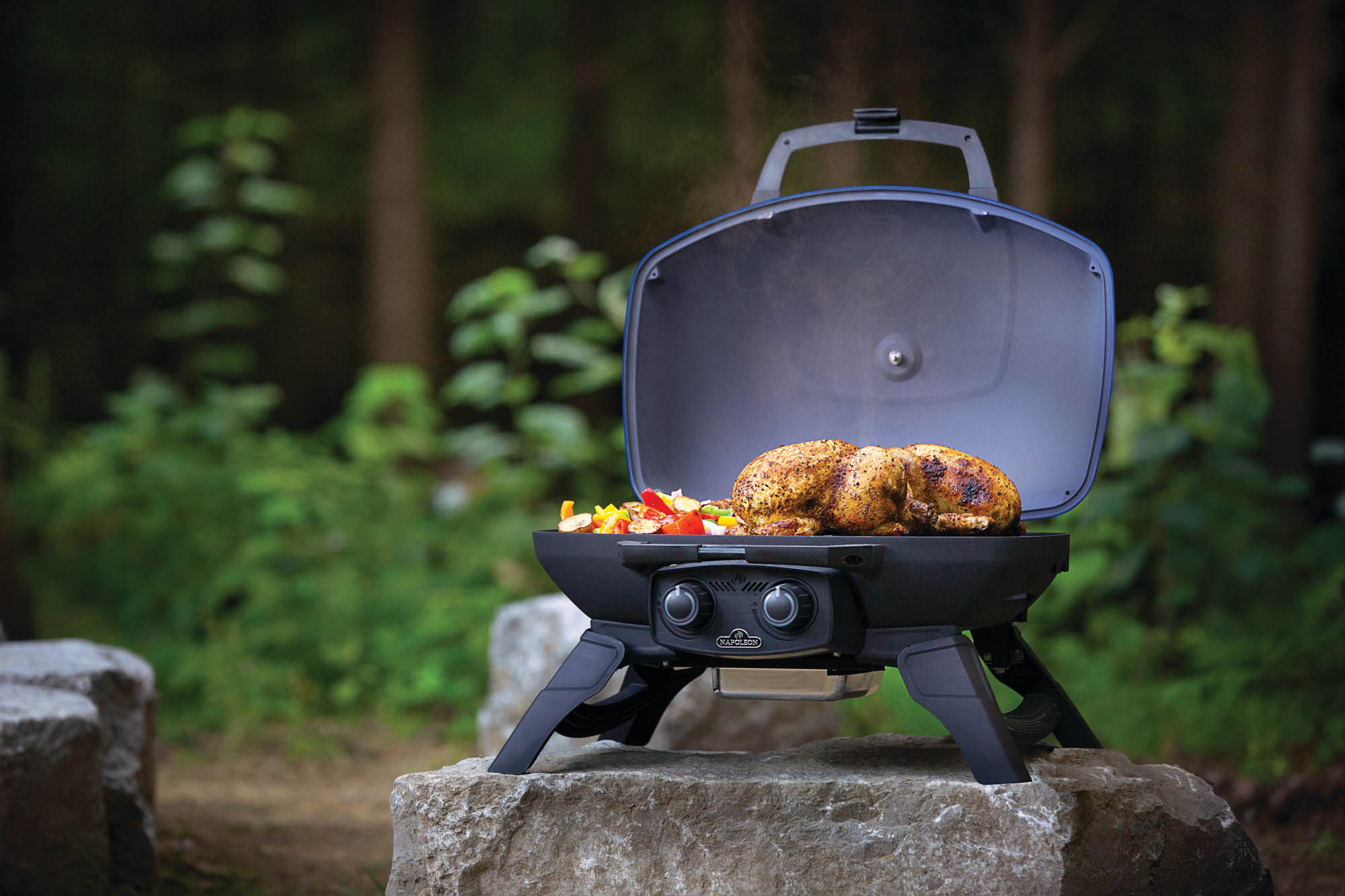 Klarstein Verkaufsgeschäft -Klarstein Verkaufsgeschäft Napoleon TravelQ 285 Portable Propane Gas Grill Lifestyle 03